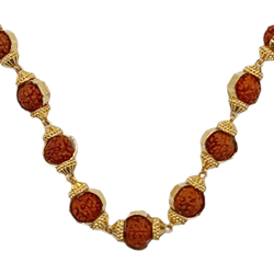 Yellow Gold Collection